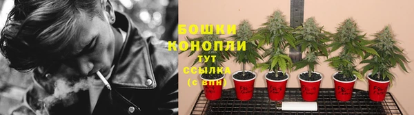 мяу мяу мука Михайловск
