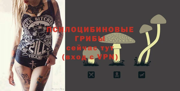 мяу мяу мука Михайловск